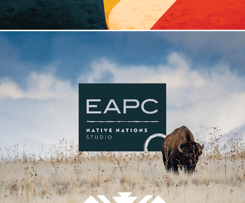 Native Nations Studio Website Post